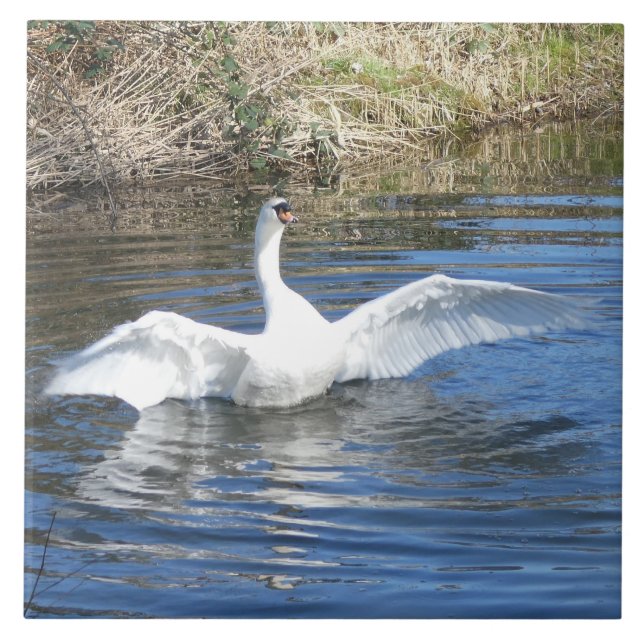 Azulejo Cerámico de Cisne con Alas Extendidas en A (Frente)