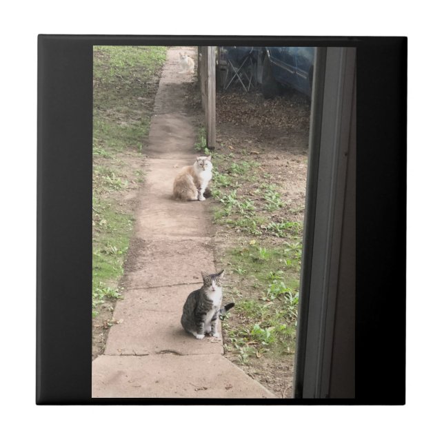Azulejo Cerámico de Gato (Frente)