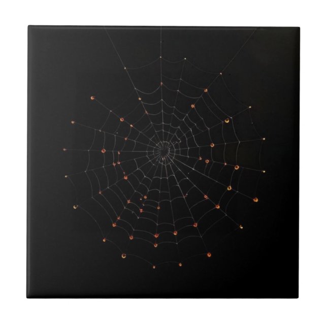 Azulejo Cerámico de Halloween con Telaraña Minimal (Frente)