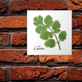 Azulejo Cerámico de Hierba de Cilantro