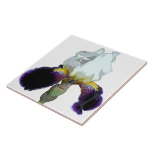 Azulejo Cerámico de Iris Blanco y Morado
