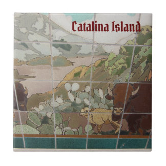 AZULEJO CERÁMICO DE LA ISLA CATALINA BÚFALO CATALI