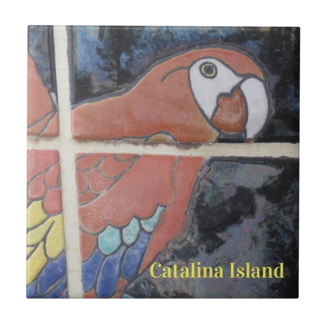 AZULEJO CERÁMICO DE LA ISLA CATALINA EL OJO DE CAT (Frente)