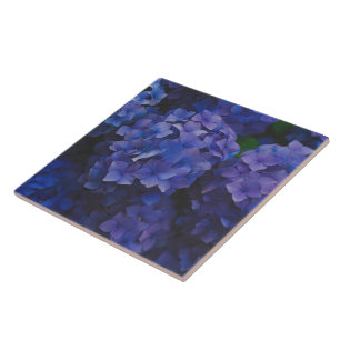 Azulejo Cerámico Decorativo Crepúsculo Hortensia Í