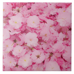 Azulejo Cerámico Floral Botánico Flor de Cerezo Ro