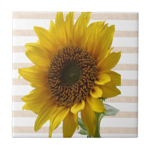 Azulejo Cerámico Girasol Clásico Floral Beige con 