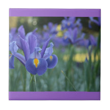 Azulejo Cerámico Iris Púrpura