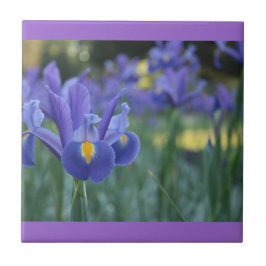 Azulejo Cerámico Iris Púrpura