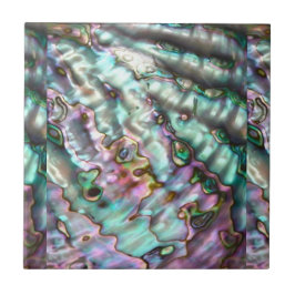 Azulejo cerámico / posavasos de oreja de mar