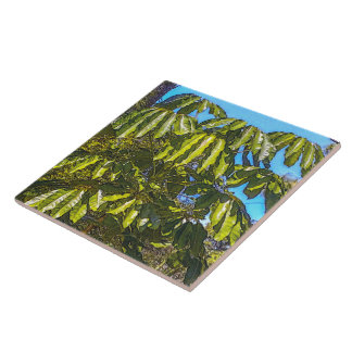 Azulejo Cerámico Sombrillas Schefflera