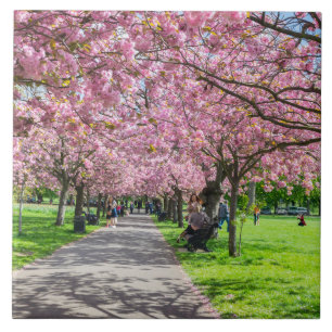 Azulejo Cerezo cerámico