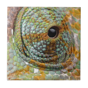Azulejo Chameleon Eye Mod Animal De Estilo