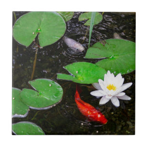 Azulejo Charca de Koi