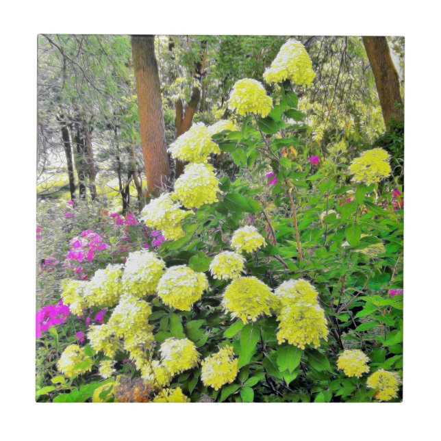 Azulejo Chartreuse Green Limelight Hydrangea Garden (Frente)