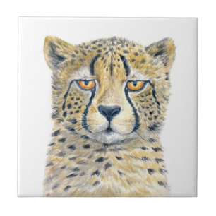 Azulejo Cheetah