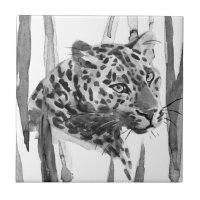 Cheetah Portrait