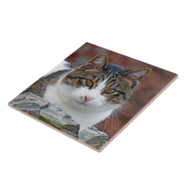 Azulejo Chica bonito (Lado)