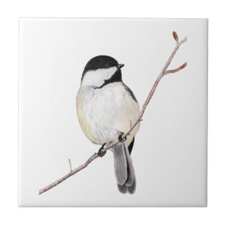 Azulejo Chickadee