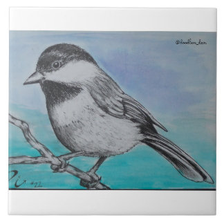 Azulejo Chickadee capsulado negro