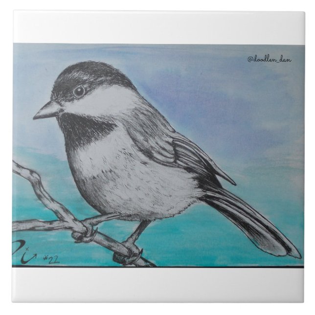 Azulejo Chickadee capsulado negro (Frente)