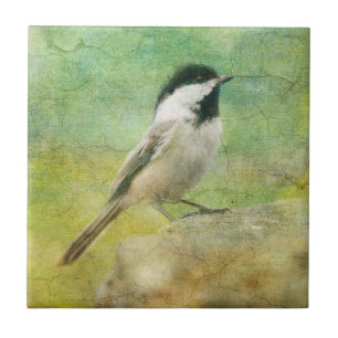 Azulejo Chickadee texturizado