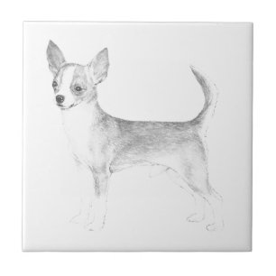 Azulejo Chihuahua