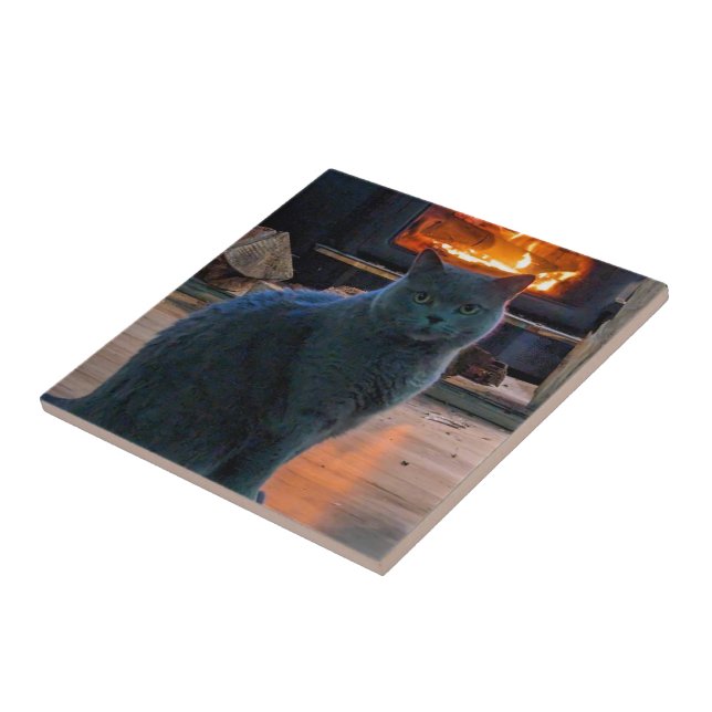 Azulejo Chimenea de gatos Kitty de Shorthair británica (Lado)