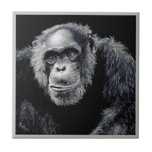 Azulejo Chimp Tile - "Jacob"