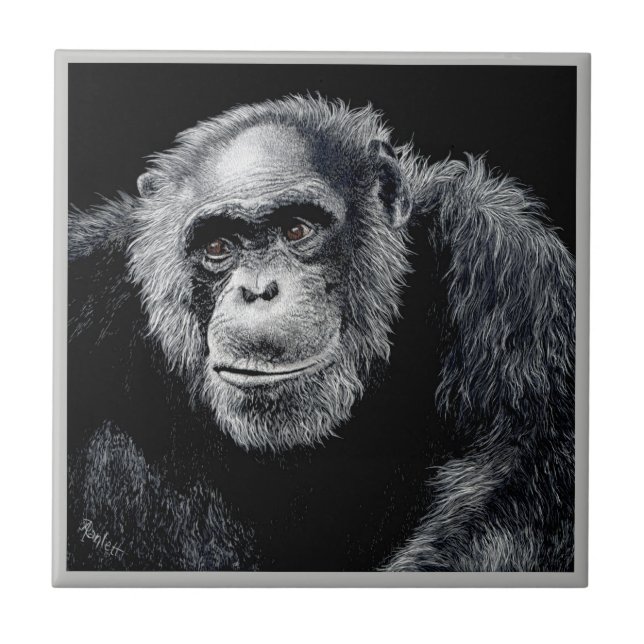 Azulejo Chimp Tile - "Jacob" (Frente)