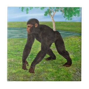 Azulejo Chimpancé