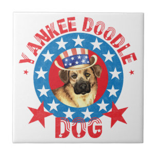 Azulejo Chinook patriótico