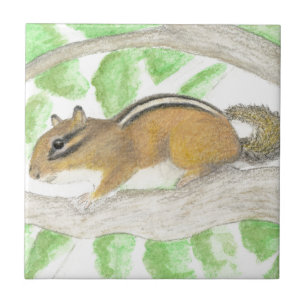 Azulejo Chipmunk