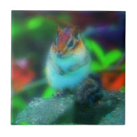 Chipmunk Fantasy Animal