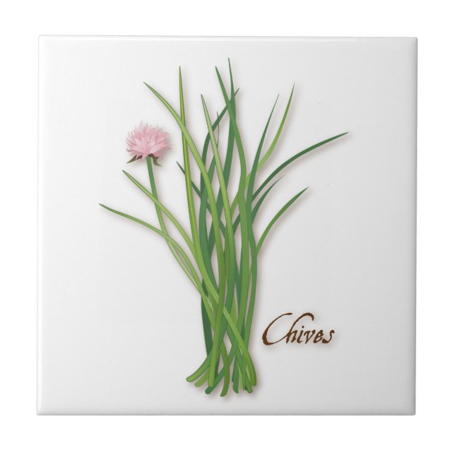 Azulejo Chives Herb Cerámica Tile (Frente)