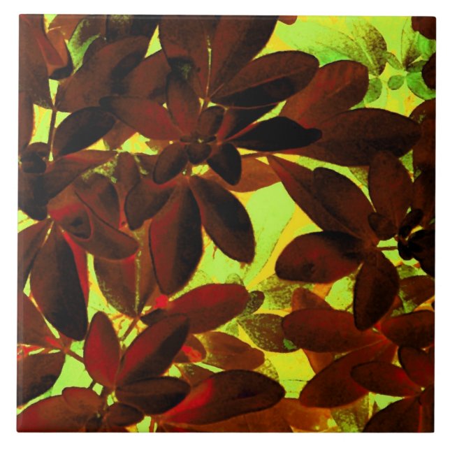 Azulejo Choisya Otoño 2 cerámica (Frente)