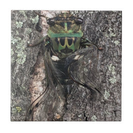 Azulejo Cicada Ceramic Tile
