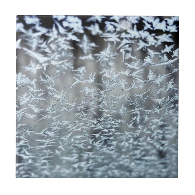 Azulejo Ciclos de invierno (Frente)