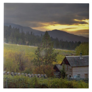 Azulejo Cielo de sol sobre viñedos y cabaña de troncos h