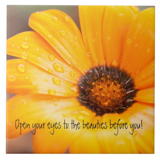 Azulejo Cierre anaranjado de la margarita africana del (Frente)