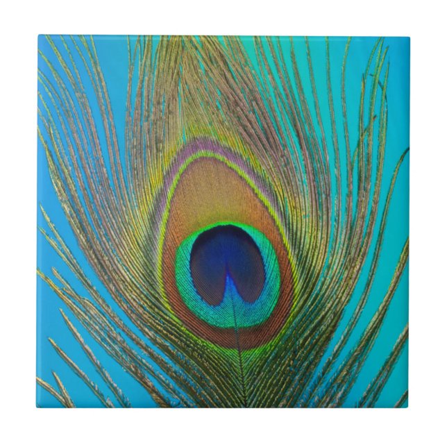 Azulejo Cierre de la pluma de pavo real (Frente)