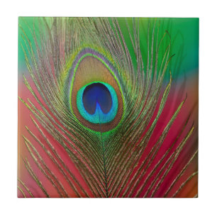 Azulejo Cierre de plumas de pavo real