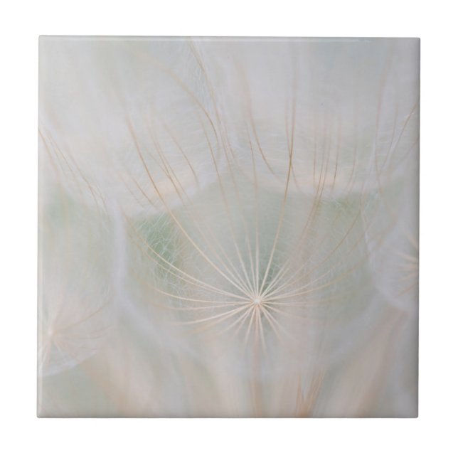 Azulejo Cierre de una cabeza semilla, Canadá (Frente)