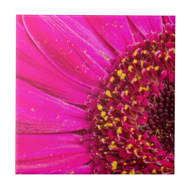 Azulejo Cierre de una margarita Gerber (Frente)