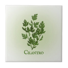 Azulejo Cilantro Diseño Herbal Cerámica Tile