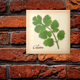 Azulejo Cilantro Hierba
