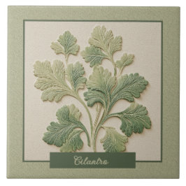 Azulejo Cilantro Hierbas Decoración de Cocina Relieve Fals