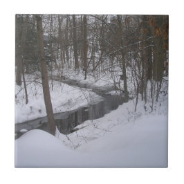 Azulejo "Cinta de Invierno"