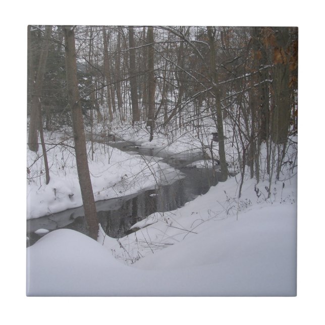 Azulejo "Cinta de Invierno" (Frente)