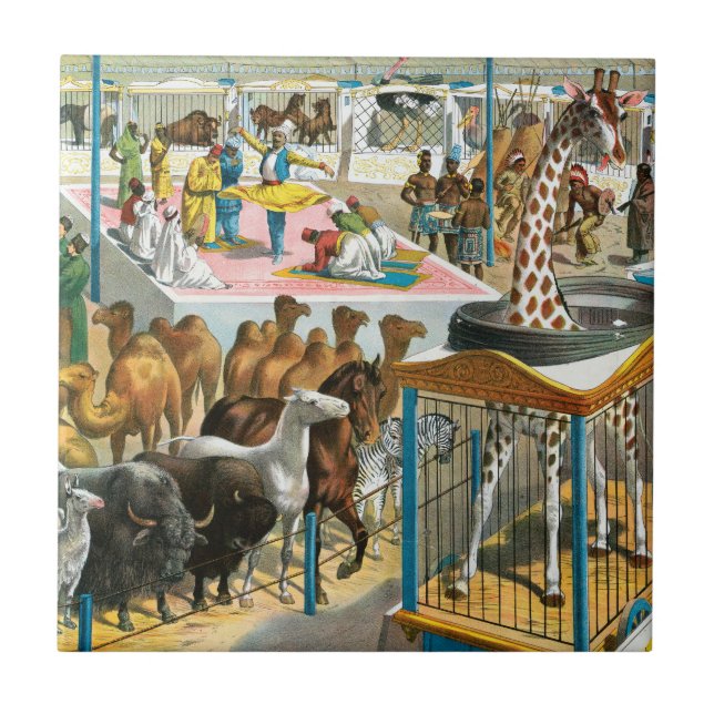 Azulejo Circo Poster De Personas De Diferentes Nacionalida (Frente)