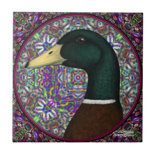 Azulejo Círculo del mosaico de Drake del pato silvestre